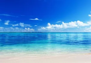 El cielo Cozumel From Cancún and round Transfer with Lunch