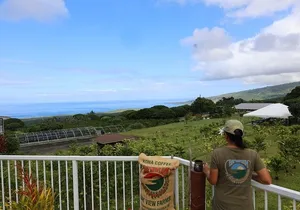Kona Coffee Farm Tour from Tree to Tasting Room