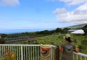 Kona Coffee Farm Tour from Tree to Tasting Room