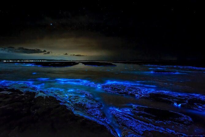 Cayman Bioluminescent Bay Night Tour