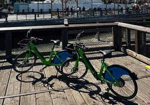 Electric Bike for the Day