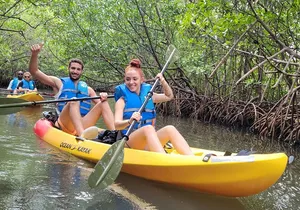 Biscayne Bay Island and Nature Exploration