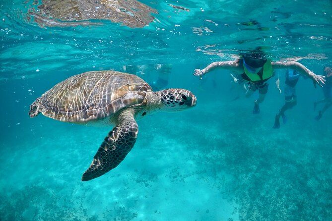 Mayan snorkeling (Akumal-Cenote-Caverna)