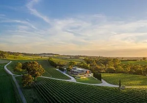 Phoenix Vortex to Vineyard Shared Tour