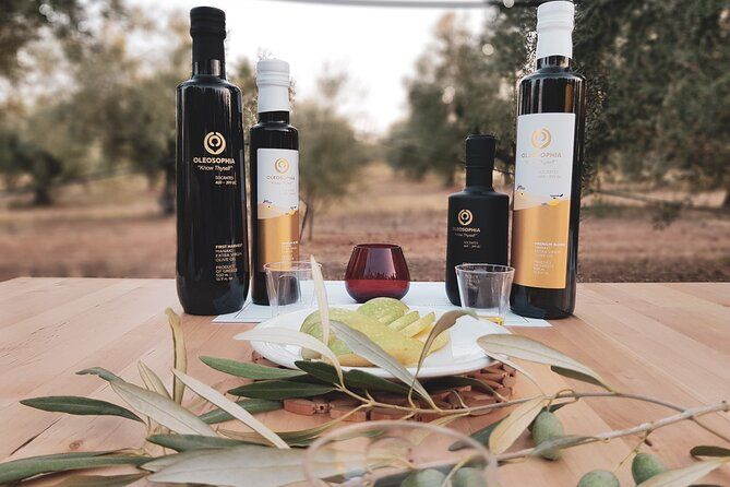 Mercedes Private Olive and Wine Tour..in the fields