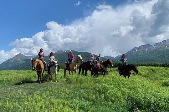 Trail Ride and Zipline Adventure Combo