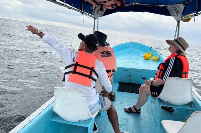 Marine mammal watching: dolphins and whales in Huatulco