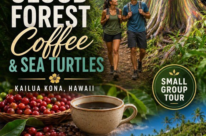 Kona Shore Excursion: Kona Cloud Forest, Coffee & Sea Turtles
