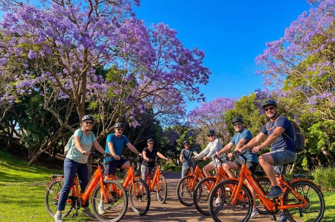 Santa Cruz de Tenerife Highlights Bike Tour with E-Bike Option