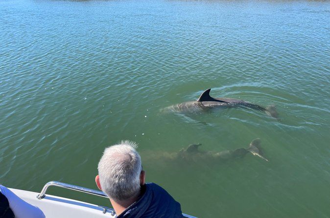 Private Dolphin Watch, Lighthouse and Ecological Boat Tours