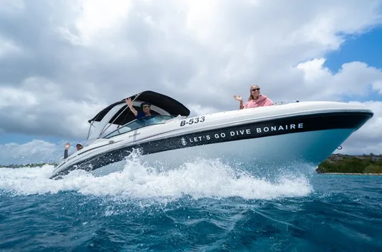 Concierge Two Tank Boat Dive in Bonaire (4 Divers)