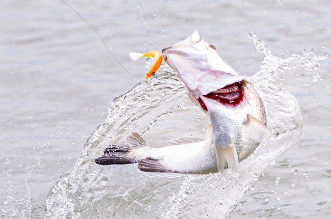 Hooked On Barra - Land Based Barramundi Fishing