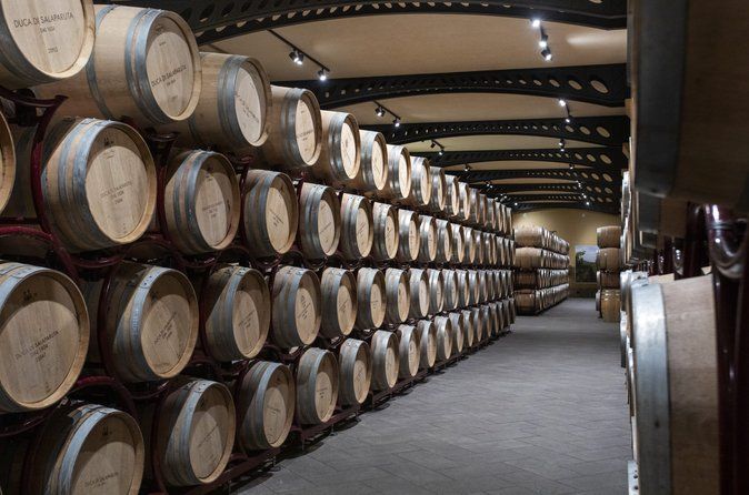 Guided tour and tasting at Duca di Salaparuta Winery