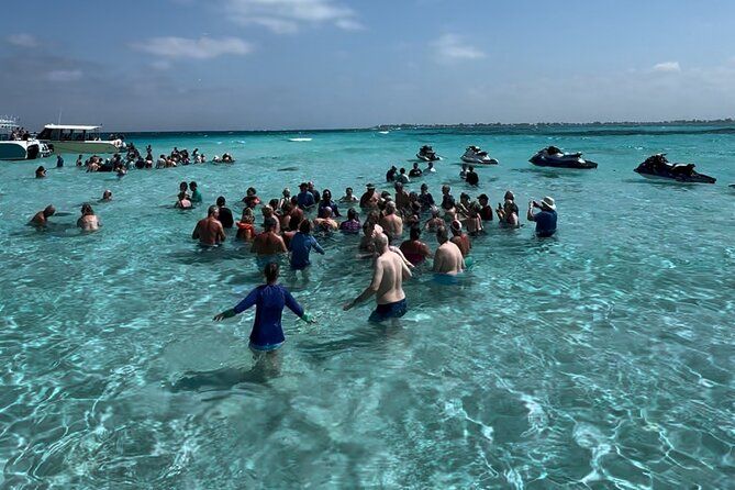 3 Stop Boat Tour Stingray City Coral Gardens and Starfish Point