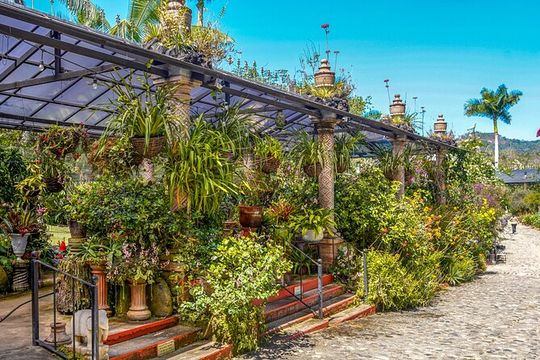 Botanical Garden: Private Day Trip of Flora & Fauna in Vallarta.