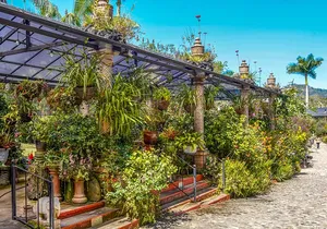 Vallarta Botanical Garden: Private Day Trip of Flora & Fauna