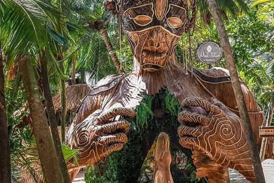 Tulum , Cenote tortuga , Nature statue and Playa del carmen