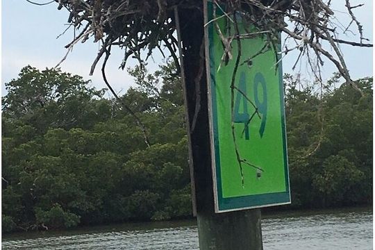 5 Hour Keewaydin Island Beach Tour