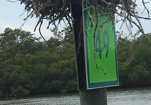 5 Hour Keewaydin Island Beach Tour