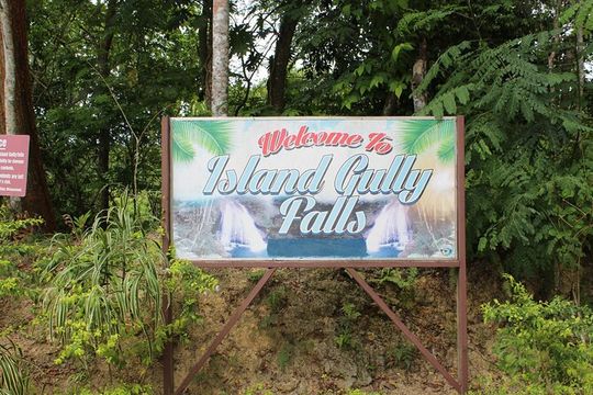 WATERFALL- Blue Hole Waterfall Adventure Swim and Rope Swing