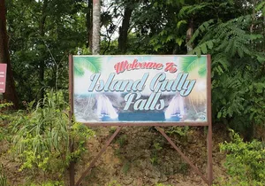 WATERFALL- Blue Hole Waterfall Adventure Swim and Rope Swing