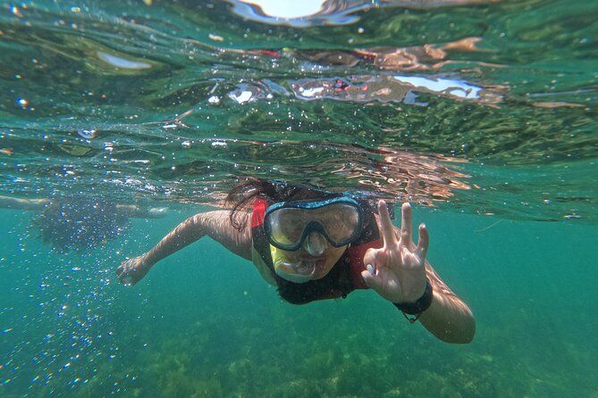 Lisbon: Snorkeling in the Prof Luiz Saldanha Marine Reserve