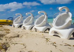 SeaTrek Helmet Diving Tour in Cabo’s Clear Waters