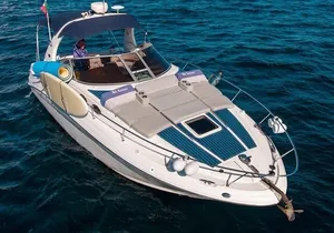 Cabo San Lucas Beach Tour