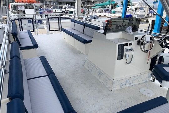 3 Hour Keewaydin Island Shelling Adventure