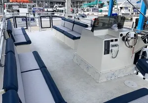 3 Hour Keewaydin Island Shelling Adventure