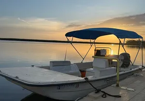 Mermaid Pirate Tours