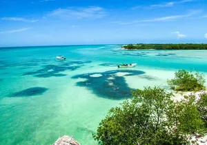 Holbox Island Tour with Pasion Island and Punta Mosquito