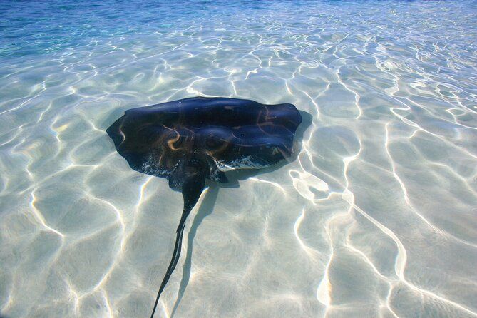 5-Day Turks and Caicos Adventure: Snorkeling, Beaches & Culture