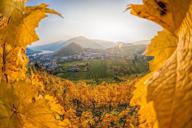 Vienna: Wachau Wonders & Magical Hallstatt Small-Group Day Trip