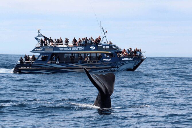 Kaikoura Day Trip including Whale Watch from Christchurch