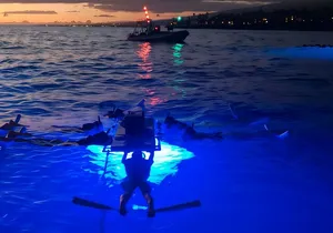 Kona Manta Night Snorkel: Swim with Mantas, Small Group (6 max)