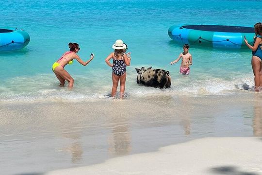 Best of Nassau - Swimming Pigs, Turtles, Snorkeling & More