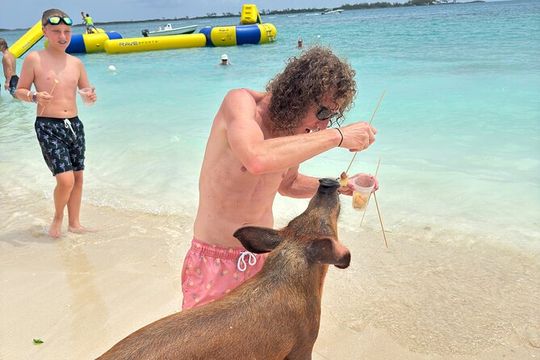 Private Island Hopping: Snorkel with Turtles and Swim with Pigs
