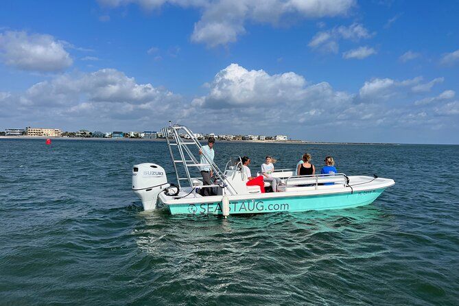 Dolphin and Nature Boat Excursion
