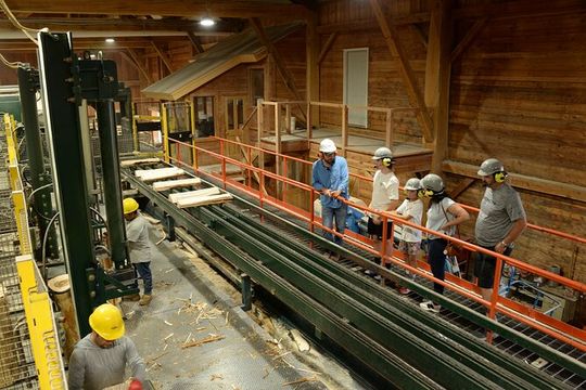 Wood Bat Mill Tour