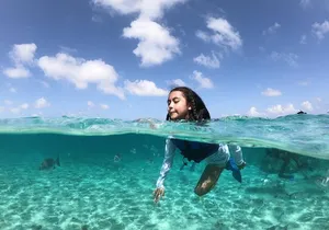 Cancun Speed Boat, Parasailing and Dolphin Beach with Transport