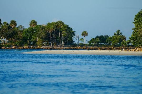 Naples Half-Day Private Eco Tour and Shelling Trip