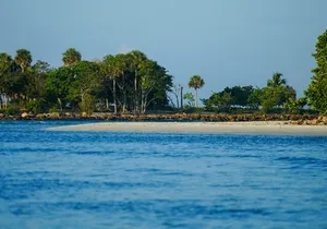 Naples Half-Day Private Eco Tour and Shelling Trip