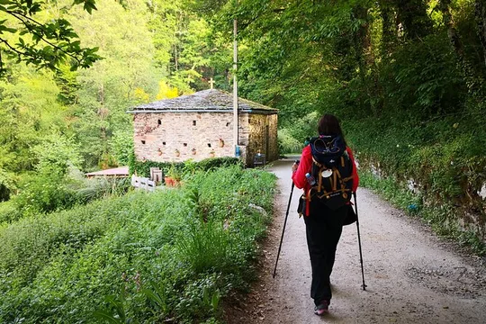 Camino de Santiago French From O Cebreiro to Santiago