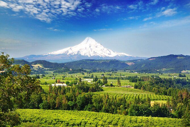 Mount Hood Loop Scenic Drive Self Guided Audio Tour