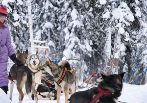 Sledding and Homesteading Adventure