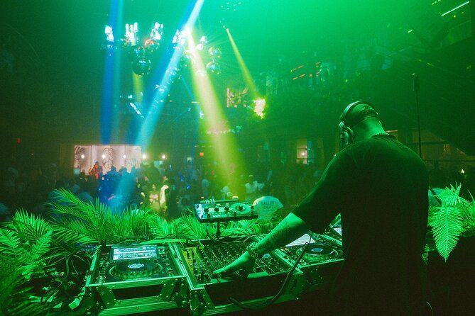 Tropicalia Disco – Party Night – Nightclub