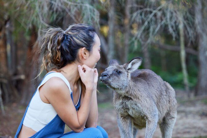 Wallabies & Wine - Hunter Valley Adventure