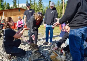 Fairbanks Sled Dog Adventure with Campfire & S'mores