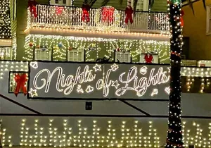 Nights of Lights Private Electric Joy Ride up to 12 people!